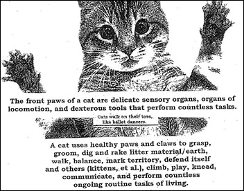 Writing characters tumblr picture